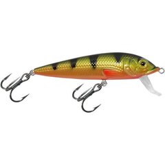 Vobleris Aqua Fishing Tackle 75mm 048 cena un informācija | Vobleri, ēsmas, vizuļi | 220.lv