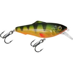 Vobleris Aqua Fishing Tackle 75mm 048 cena un informācija | Vobleri, ēsmas, vizuļi | 220.lv