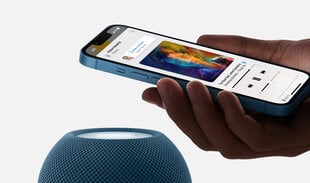 Apple HomePod Mini, синий цена и информация | Аудиоколонки | 220.lv