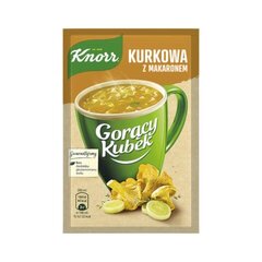 Быстрорастворимый суп с лисичками и лапшой Knorr, 13 г цена и информация | Супы, бульоны | 220.lv