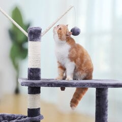 Nagu asināmais kaķiem Feandrea PCT35G, pelēks cena un informācija | Kaķu mājas, nagu asināmie | 220.lv