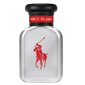 Tualetes ūdens Ralph Lauren Polo Red Rush EDT vīriešiem, 40ml cena un informācija | Vīriešu smaržas | 220.lv