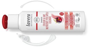 Šampūns krāsotiem matiem Lavera Colour & Care, 250 ml cena un informācija | Šampūni | 220.lv
