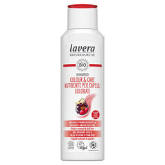 Šampūns krāsotiem matiem Lavera Colour & Care, 250 ml cena un informācija | Šampūni | 220.lv