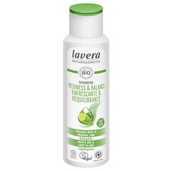Šampūns Lavera Freshness & Balance, 250 ml cena un informācija | Šampūni | 220.lv
