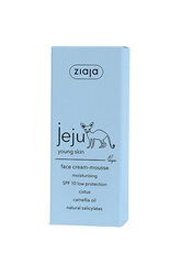 Крем для лица для молодой кожи Ziaja Jeju SPF10, 50 мл цена и информация | Наносите на чистую кожу лица. Подержите около 10-15 минут и смойте водой. | 220.lv