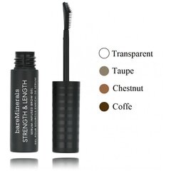 Тонизирующий гель для бровей с сывороткой bareMinerals Strength & Long Serum Infused Brow Gel, Honey, 5 мл цена и информация | Карандаши, краска для бровей | 220.lv