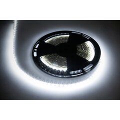 LED virtene, 25m Rebel ,1500x5050 smd, auksti balta, 12v cena un informācija | LED lentes | 220.lv