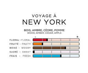 Smidzināms gaisa atsvaidzinātājs Imao parfums Voyage à New York cena un informācija | Auto gaisa atsvaidzinātāji | 220.lv