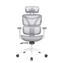 эргономичное кресло системы levano, bakta цена и информация | Офисные кресла | 220.lv
