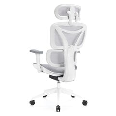 Ergonomisks biroja krēsls Levano, balts cena un informācija | Biroja krēsli | 220.lv