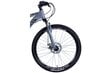 Velosipēds MTB Discovery Bastion Disc 26", 160-185 cm, pelēks цена и информация | Velosipēdi | 220.lv