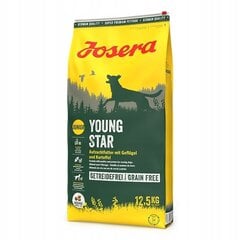 Josera Dog Youngstar Grainfree для щенков, 12,5 кг цена и информация | Сухой корм для собак | 220.lv