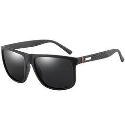 Солнцезащитные очки с поляризацией для мужчин Z91, черный цена и информация | Солнцезащитные очки для мужчин | 220.lv