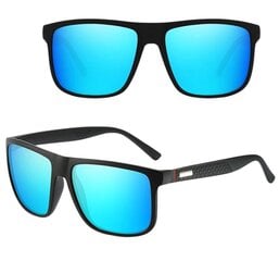 Polarizētas saulesbrilles vīriešiem Z91, zilas cena un informācija | Saulesbrilles  vīriešiem | 220.lv