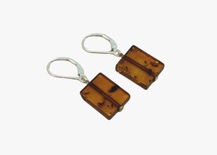 Серебряные серьги для женщин с янтарными оранжевыми бусинами цена и информация | Серьги | 220.lv