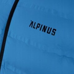 Vīriešu jaka Alpinus Nordend, XL, zila cena un informācija | Vīriešu virsjakas | 220.lv