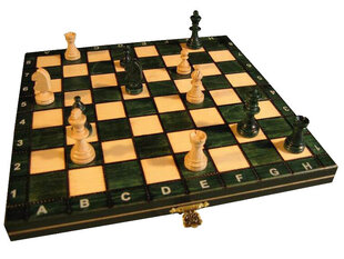 Koka ceļojumu šahs, 27x27 cm cena un informācija | Galda spēles | 220.lv