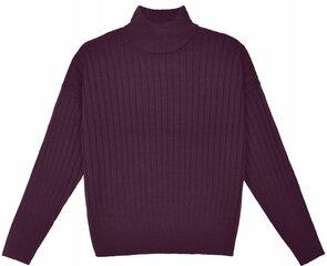 Pantoneclo džemperis sievietēm - PAN2022069 cena un informācija | Sieviešu džemperi | 220.lv