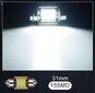 LED spuldze Xstorm 31Mm C3W C5W 21Smd Canbus cena un informācija | Auto spuldzes | 220.lv