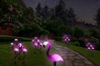 Dārza lampas ar saules baterijām Fluxar Flamingos, 3 gab. cena un informācija | Āra apgaismojums | 220.lv