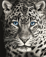 Glezniecības komplekts pēc skaitļiem. F012 Leopards ar zilām acīm, 40x50 cm cena un informācija | Gleznas pēc numuriem | 220.lv