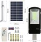 LED āra gaismeklis ar saules paneli un kustības sensoru Fluxar S613 цена и информация | Āra apgaismojums | 220.lv