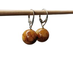 Серебреные серьги для женщин с янтарным камнем цена и информация | Серьги | 220.lv