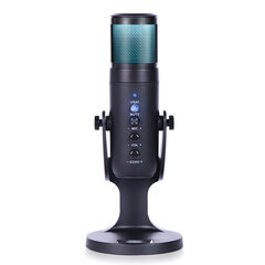 Настольный USB-микрофон цена и информация | Микрофоны | 220.lv