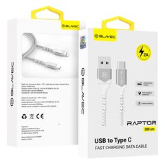 Blavec Cable Raptor braided - USB to Type C - 2A 3 metres (CRA-UC2WS30) white-silver цена и информация | Кабели для телефонов | 220.lv