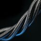 Blavec Raptor Braided Cable цена и информация | Savienotājkabeļi | 220.lv