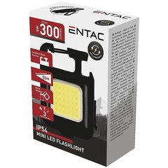 Entac аккумуляторный фонарик-подвеска 5Вт цена и информация | Фонарики | 220.lv
