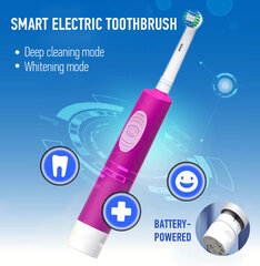 Magicso tooth 5000 цена и информация | Электрические зубные щетки | 220.lv