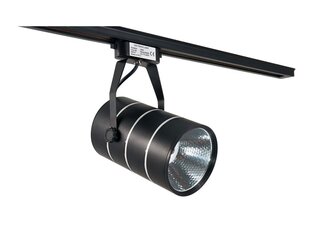 Светодиодный светильник для магазина Steka 30W - Черный - Теплый белый (3000K) цена и информация | Люстры | 220.lv