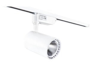 Светодиодный светильник для магазина Steka Ver.E 30W - Белый - Теплый белый (3000K) цена и информация | Настенный/подвесной светильник Eye Spot 11 BL, чёрный | 220.lv