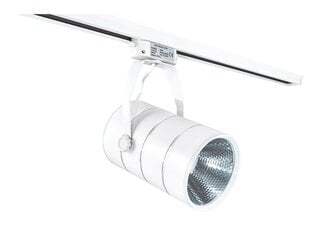 Светодиодный светильник для магазина Steka 30W - Белый - Холодный белый (6000K) цена и информация | Люстры | 220.lv