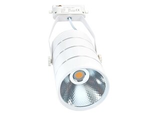 Светодиодный светильник для магазина Steka 30W - Белый - Теплый белый (3000K) цена и информация | Люстры | 220.lv