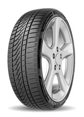 STARMAXX POLARMAXX SPORT 205/55R17 95V RF цена и информация | Зимняя резина | 220.lv