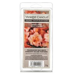 Yankee Candle Home Inspiration Amber Musk 75 g cena un informācija | Sveces un svečturi | 220.lv