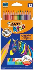 БИК, Цветные карандаши Evolution Stripes, 12 цветов цена и информация | Принадлежности для рисования, лепки | 220.lv