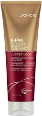 Atjaunojoša matu maska krāsotiem matiem ​​Joico K-Pak Color Therapy Luster Lock Shine & Repair Treatment, 250 ml cena un informācija | Kosmētika matu stiprināšanai | 220.lv