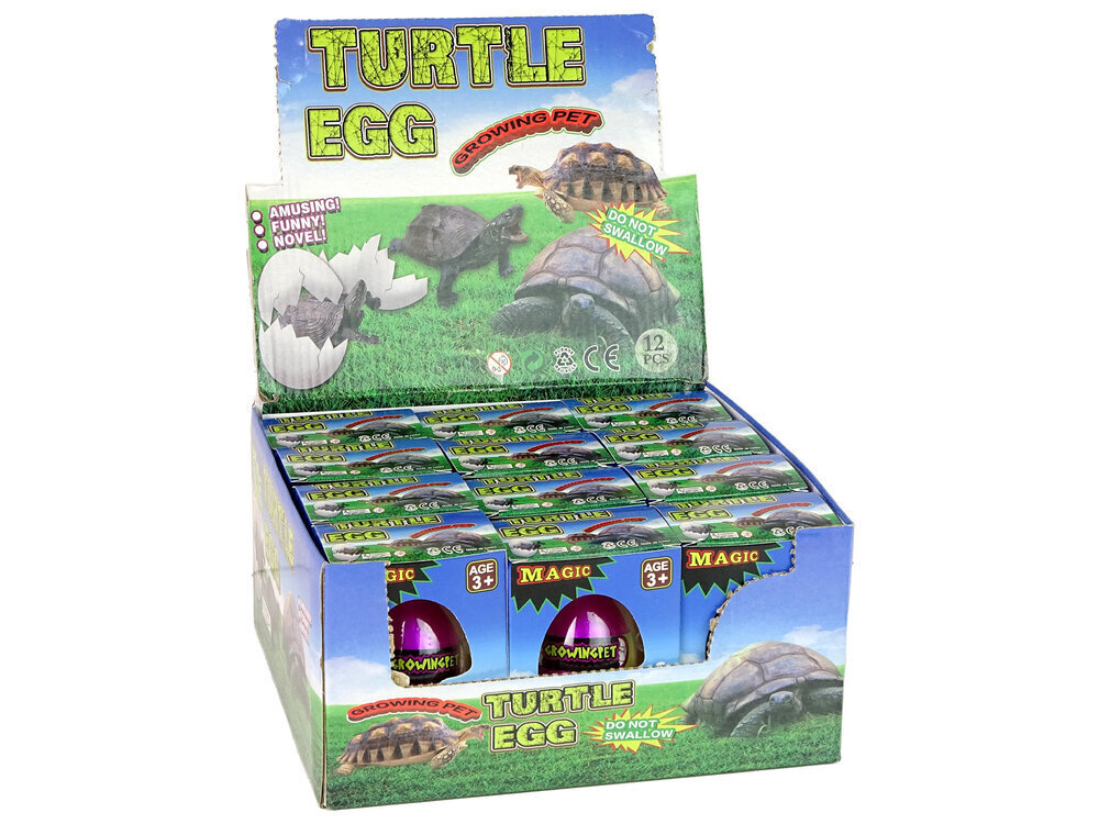 Augošie olu bruņurupuči, 6 cm cena un informācija | Attīstošās rotaļlietas | 220.lv