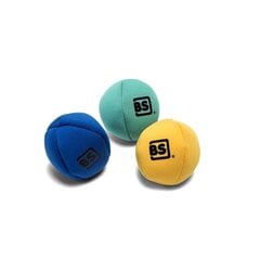 BS TOYS Мячи для жонглирования цена и информация | Развивающие игрушки | 220.lv