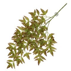 Piekarināms augs ar piesūcekņiem Nandina 65x35x1,5cm, zaļa/sarkana cena un informācija | Preces eksotiskajiem dzīvniekiem | 220.lv