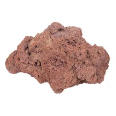 Аквариумный камень Лава 8-15см. 1 шт. цена и информация | Аквариумные растения и декорации | 220.lv