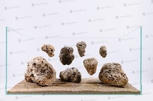 Peldošs akmens, 9-14cm cena un informācija | Akvārija augi, dekori | 220.lv