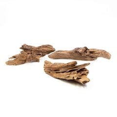 Akvārija driftwood Yati koks, 15-25cm PH060 cena un informācija | Akvārija augi, dekori | 220.lv