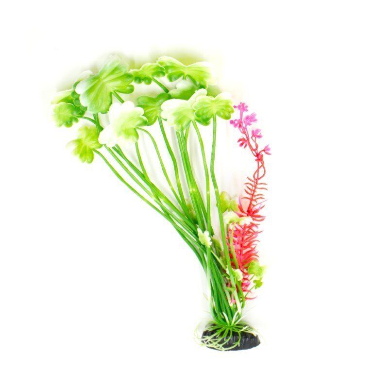 Plastmasas augs M040, 30cm цена и информация | Akvārija augi, dekori | 220.lv