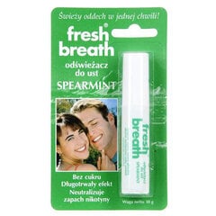Освежающий гель для дыхания Spearmint Fresh Breath, 10 г цена и информация | Зубные щетки, пасты | 220.lv