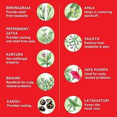 Ājurvēdas galvas un ķermeņa eļļa Navratna Himani, 270 ml cena un informācija |  Masāžas eļļas | 220.lv